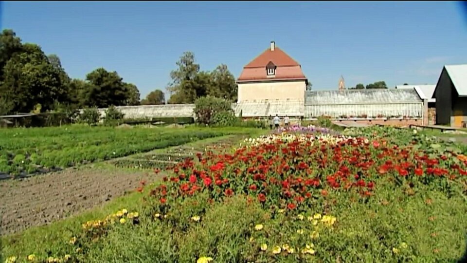 Maja w ogrodzie, Ogród i park przy seminarium Salwatorianów, odcinek 398