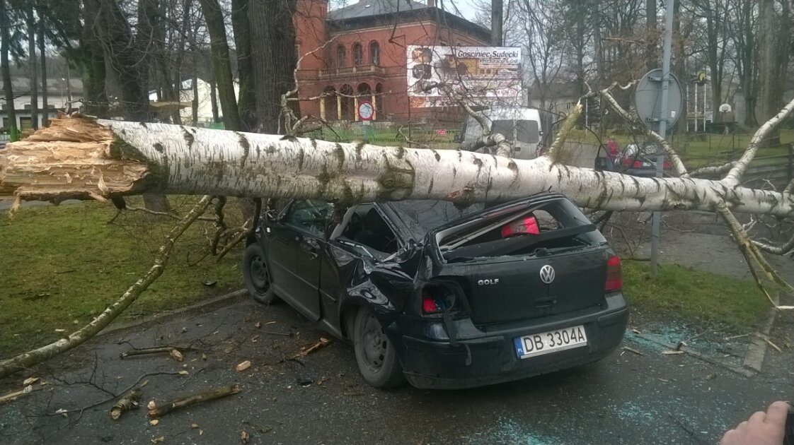 Drzewo spadło na samochód arturek69 Reporterzy 24 w